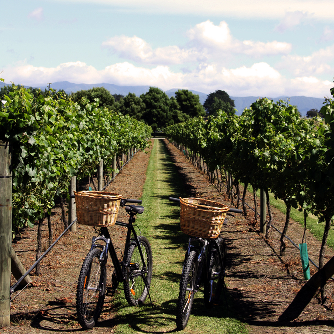Niagara-on-the-Lake bicyclles