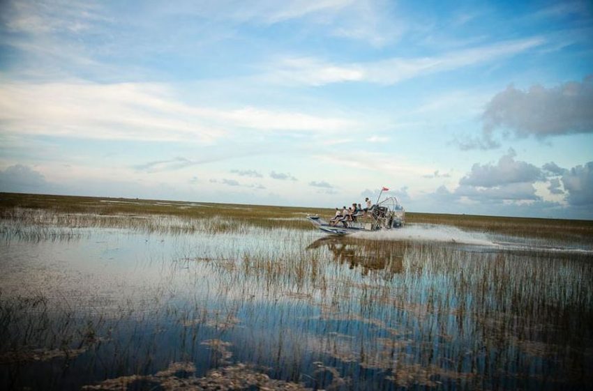 Image courtesy of Sawgrass Recreation Park