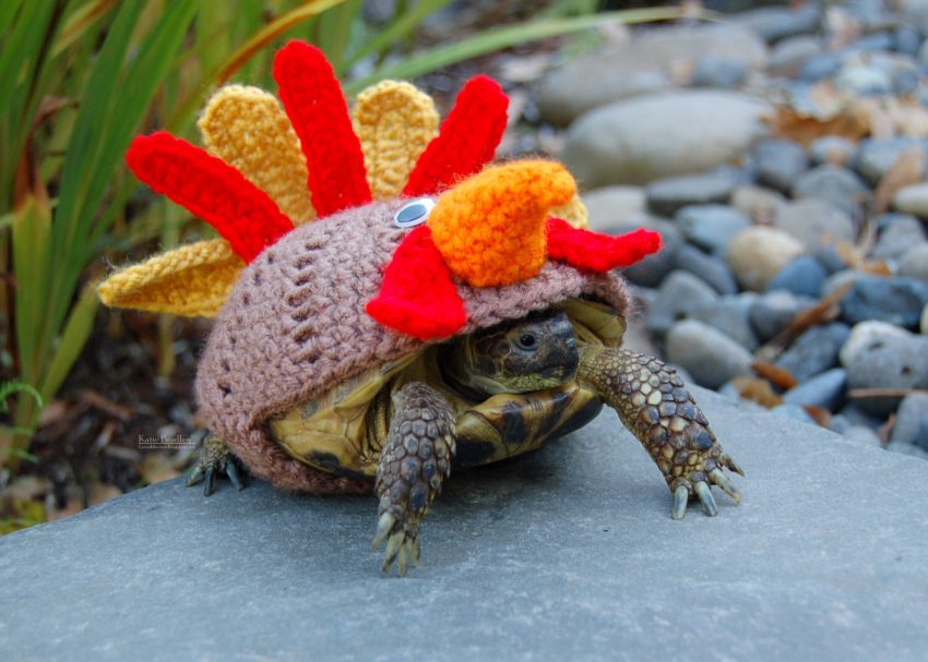 il_fullxfull-829605882_lzxk