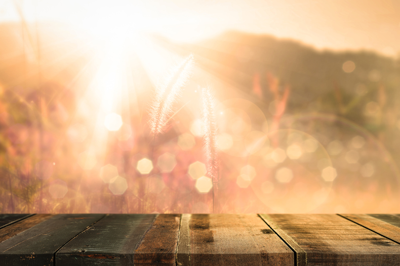 Summer 2019 Will Not Redeem or Save You