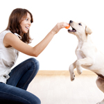 Ways_A_Dog_Can_Help_You_Meet_Men_150x150.jpg Ways_A_Dog_Can_Help_You_Meet_Men_150x150.jpg