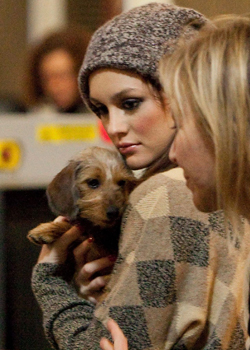 S - LAX 250x350 S - LAX 250x350